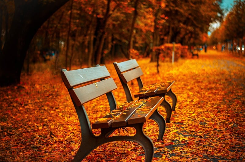 Seasonal Graphics and Illustrations